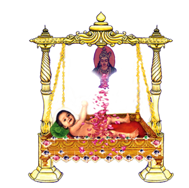 Pujya Bapu ji
