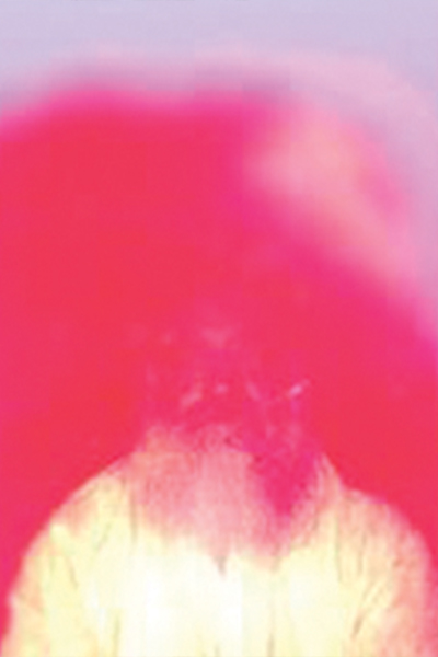 Bapuji Aura